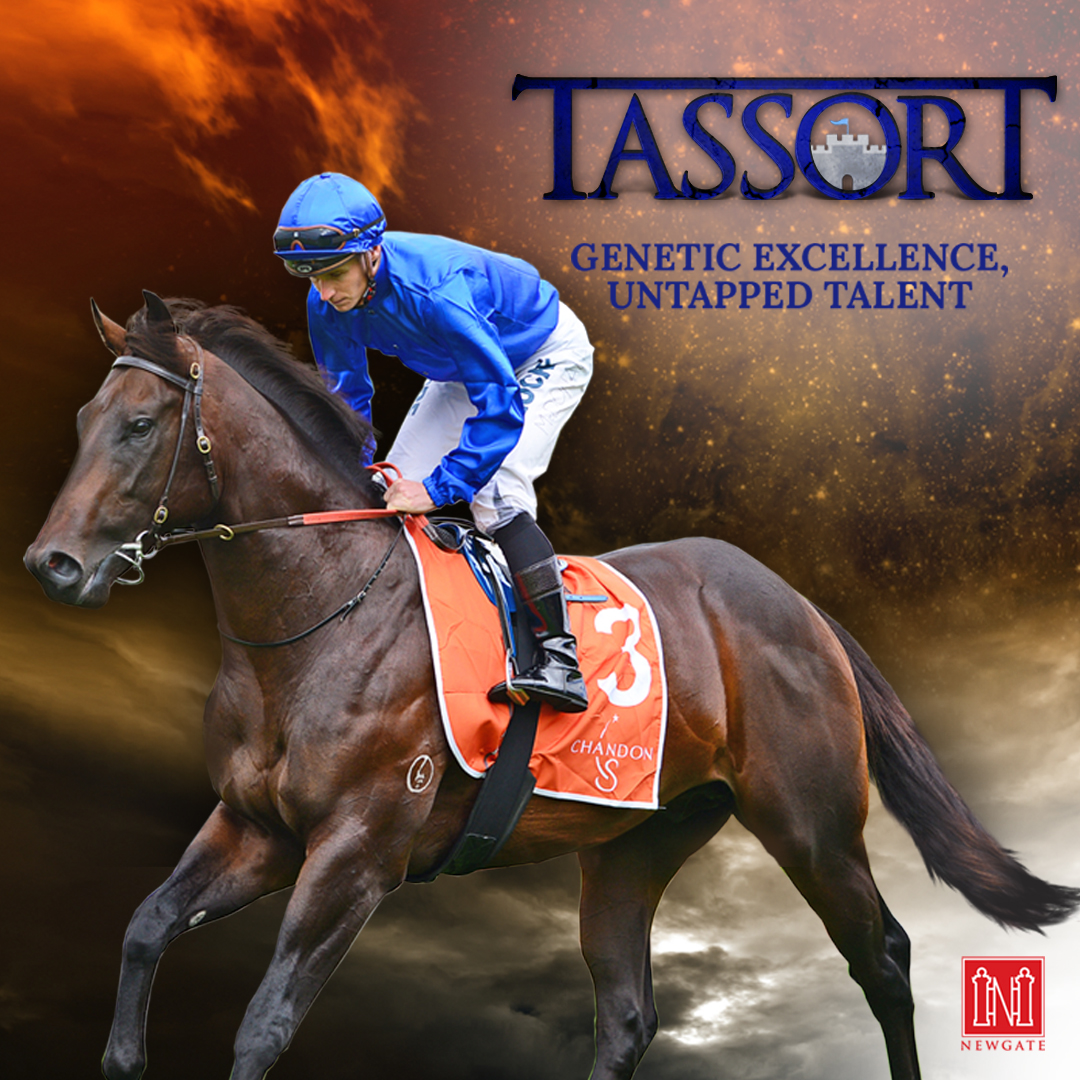 Debut winner for TASSORT🏰

SOMEBODY TOLD ME🎶 becomes winner no.44 for his sire, winning first time asking for the John Salanitri stable💪

Bred &amp; sold by <a href="/ToolooganVale/">Tooloogan Vale</a>, he was an <a href="/EmiratesPark/">Emirates Park</a> <a href="/inglis_sales/">Inglis</a> Premier graduate &amp; later a R2R graduate of <a href="/RiversleyPark/">Riversley Park</a> 🎓