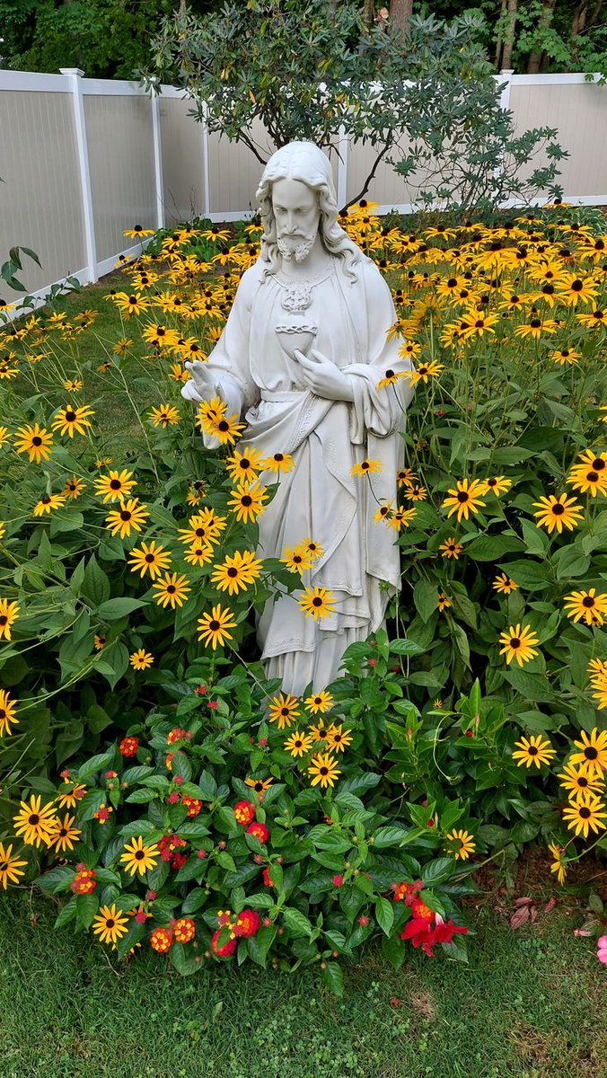 Jesus I trust in you