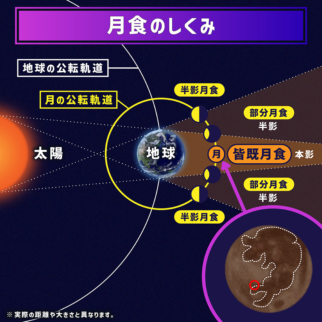 SORA-Q【公式】月に降りたった世界最小・最軽量の月面探査ロボットに