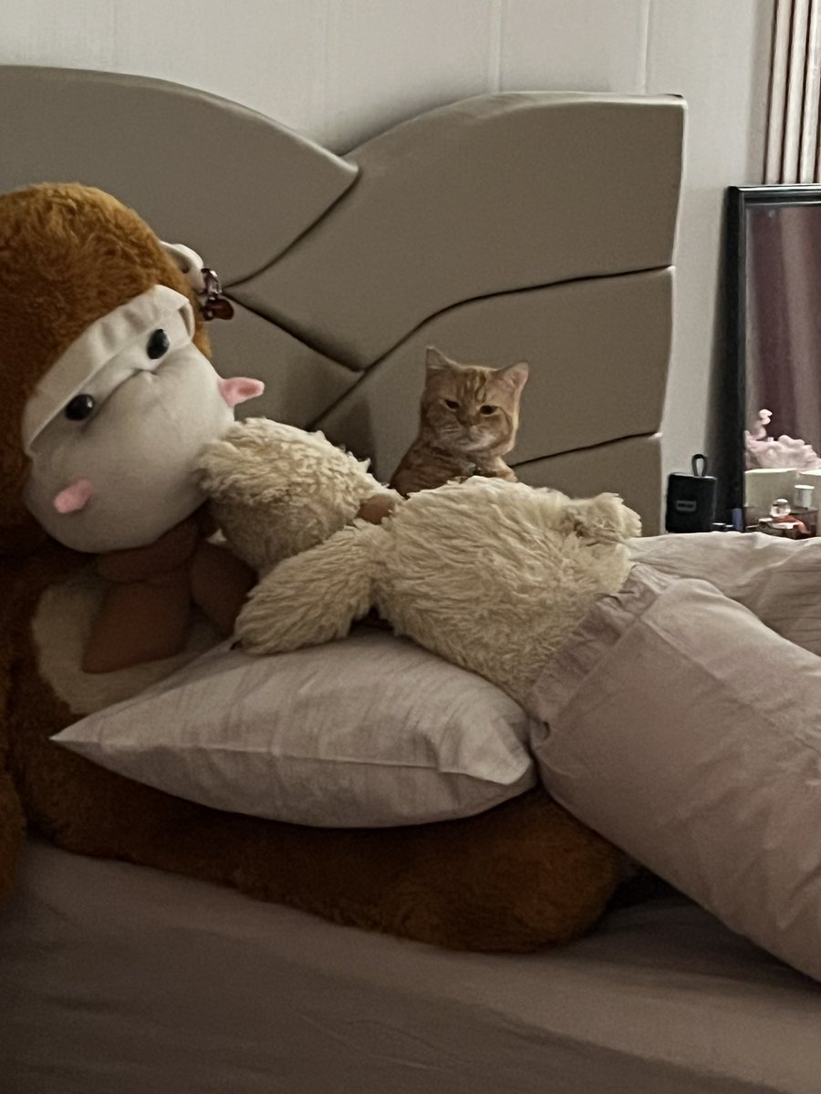 WKWKWWKWKWKWK KOCAK, LAGI TIDUR KEBANGUN KARENA KAGET