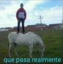 Client | Chris tweet media