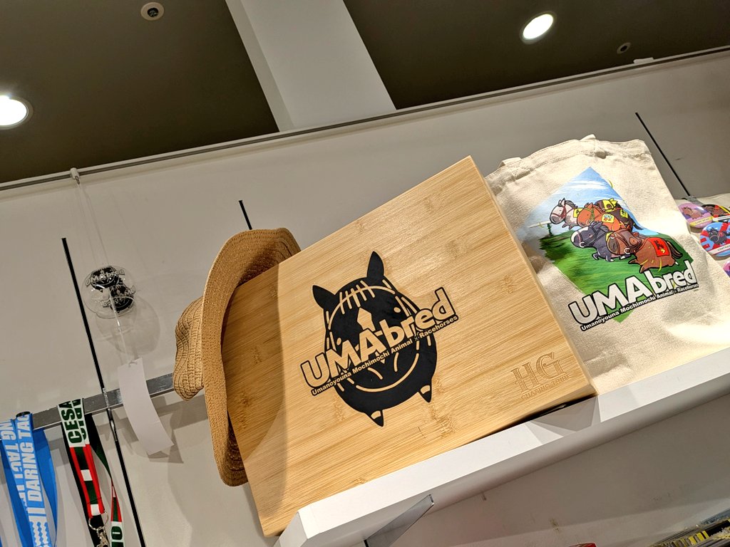 通りすがりのUMAbred なんばOIOI様

お〜君たち久しぶりやんね〜(⁠ ⸝⁠⸝⁠⸝⁠´⁠꒳⁠`⁠⸝⁠⸝⁠⸝⁠)⁠╯
並んでいるとまた壮観ですね…
アイテム数もすごいことになってますw
#UMAbred 
#UMA馬