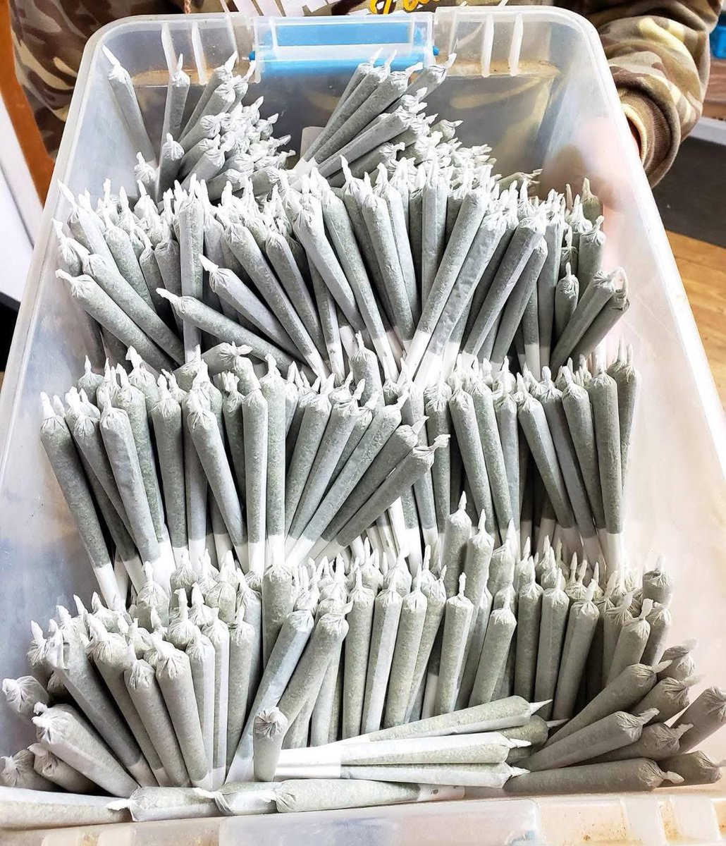 _StonersRUs_'s tweet photo. Is this enough joints for the weekend? 🤷‍♂️ https://t.co/XE0KTucUGK