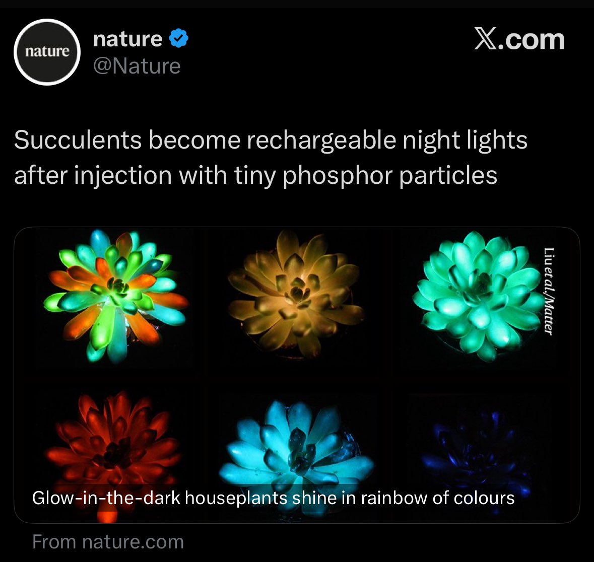 Anyone working on succulents-as-a-service (SaaS)?