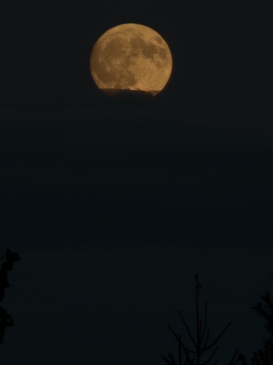 Moon is big as fuck tonight