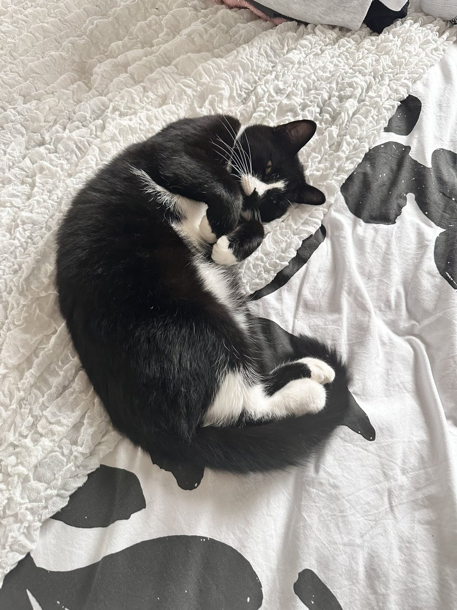 SimpsonsEFL tweet media