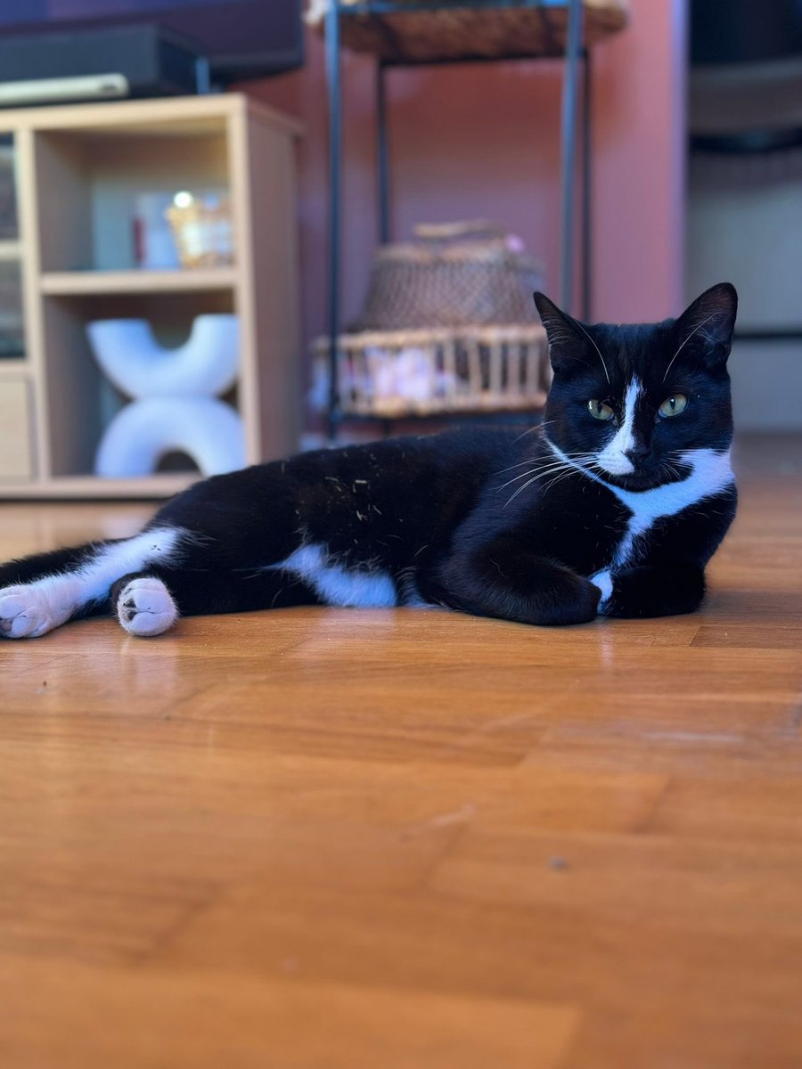 SimpsonsEFL tweet media