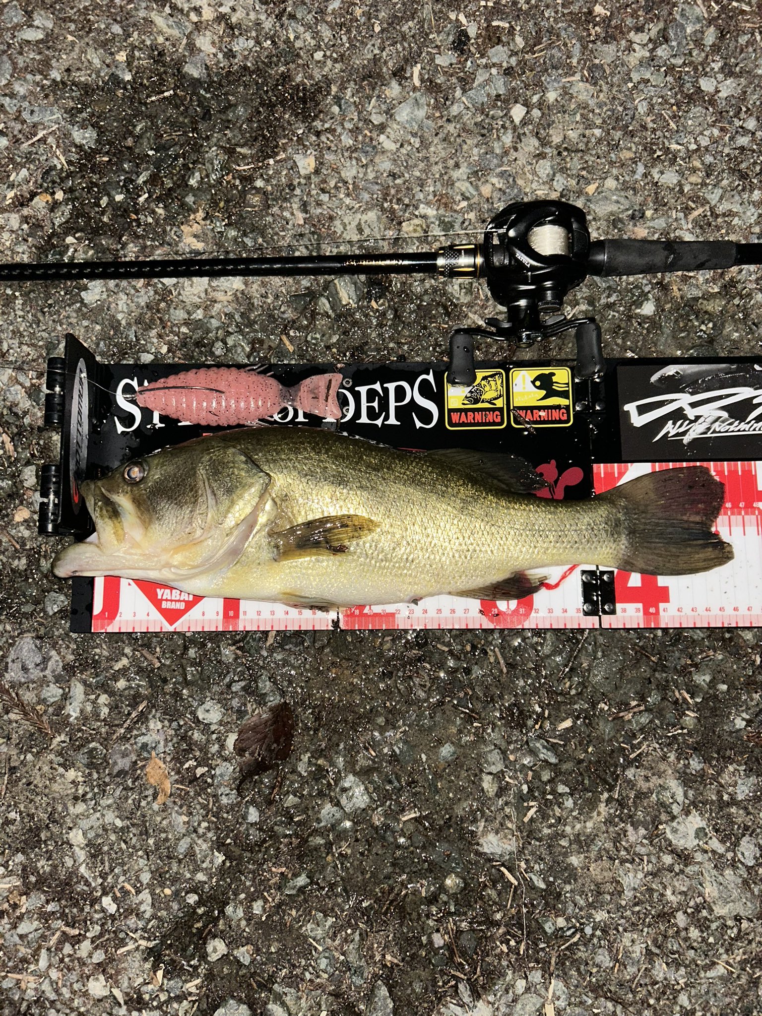 のりのりぶぅ♪ Amazon.co.jp: すみっコぐらし すみっコーデ デニムファクトリー