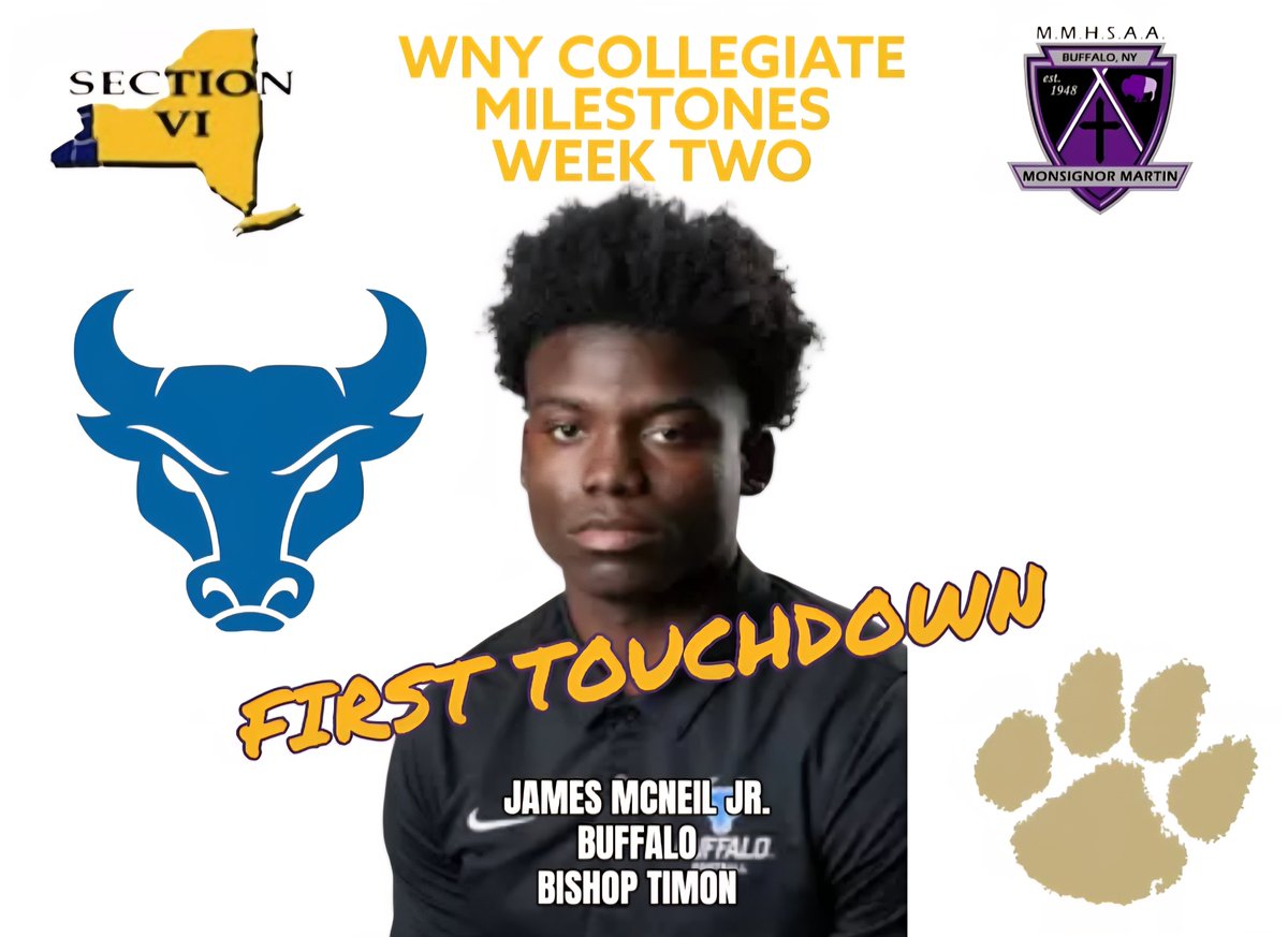 VSE Athletics tweet media