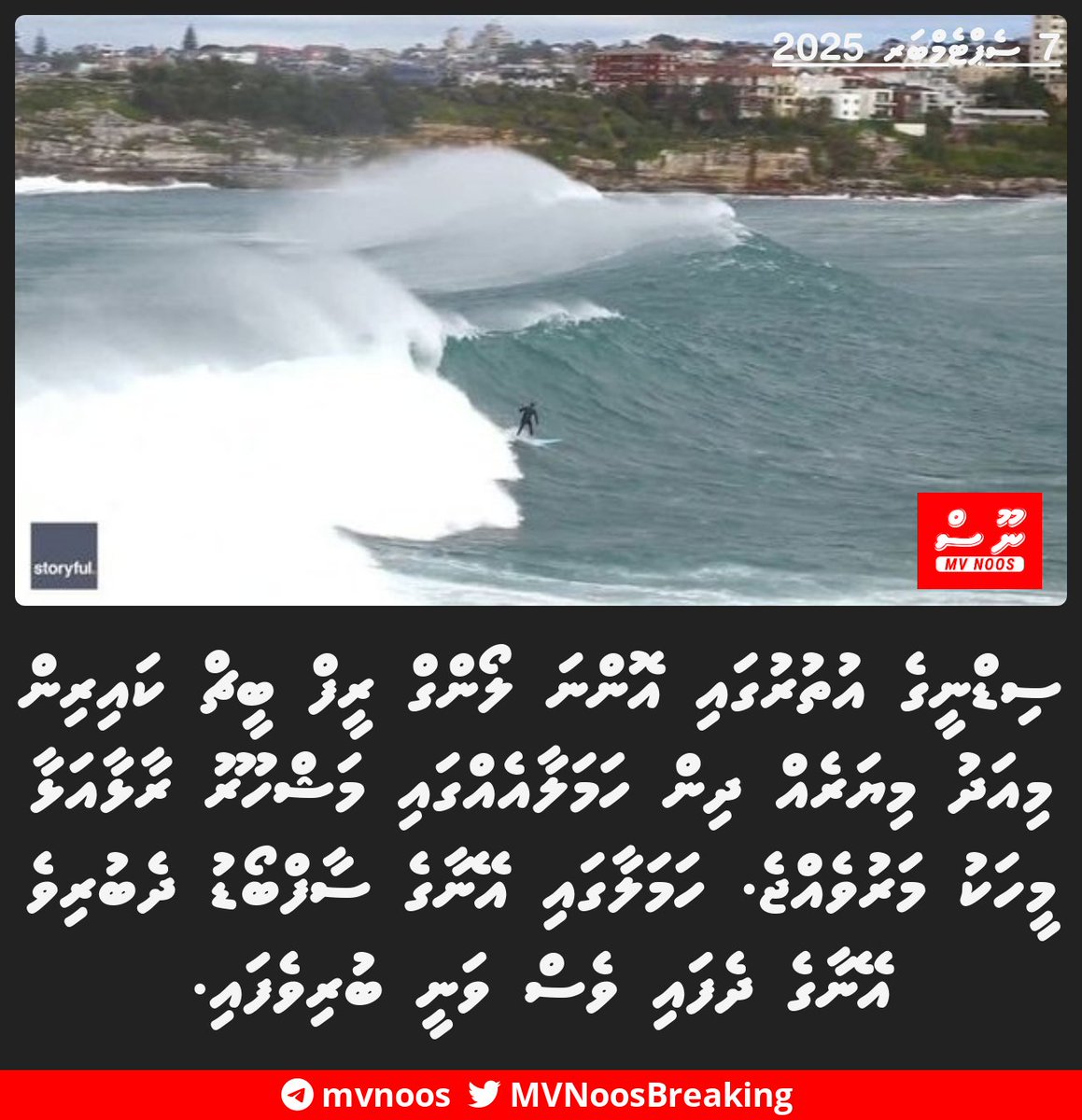 ސިޑްނީގެ އުތުރުގައި އޮންނަ ލޯންގް ރީފް ބީޗް ކައިރިން މިއަދު މިޔަރެއް ދިން ހަމަލާއެއްގައި މަޝްހޫރު ރާޅާއަޅާ މީހަކު މަރުވެއްޖެ. ހަމަލާގައި އޭނާގެ ސާފްބޯޑު ދެބުރިވެ އޭނާގެ ދެފައި ވެސް ވަނީ ބުރިވެފައި.