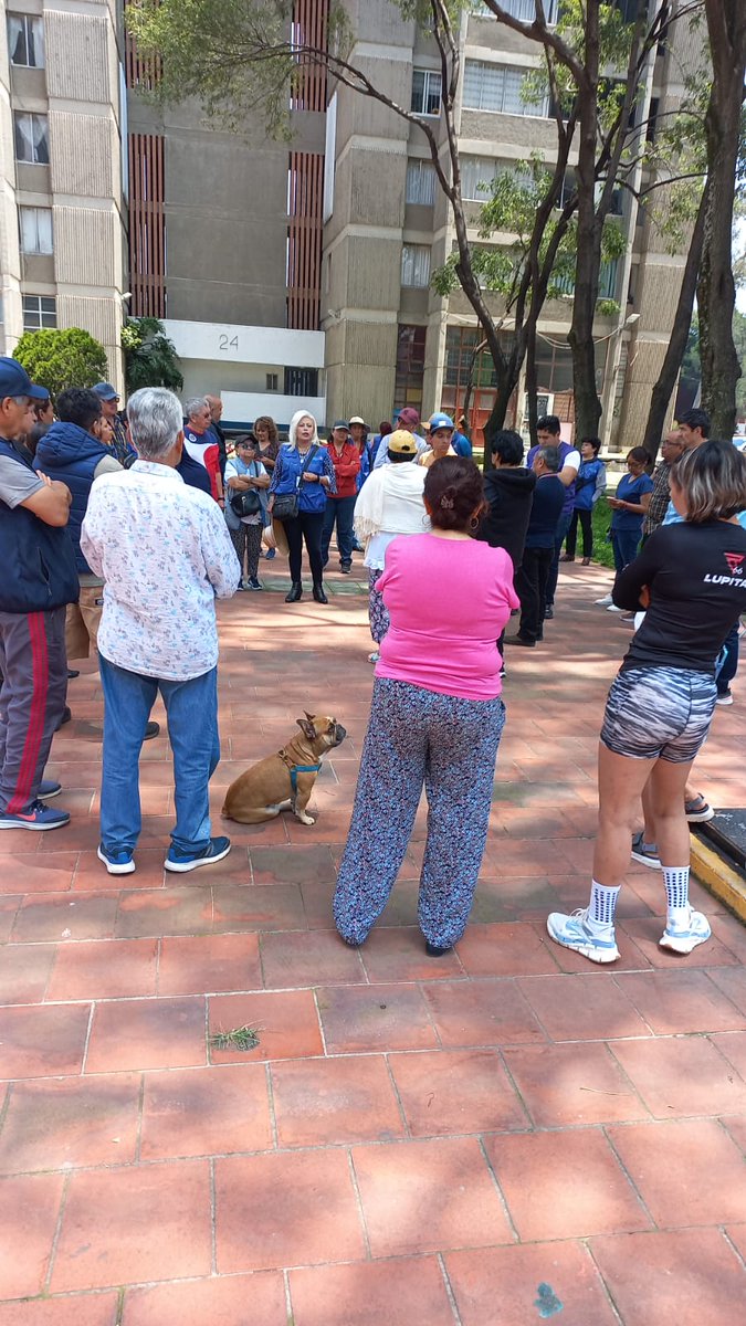 Distrito30IECM tweet media