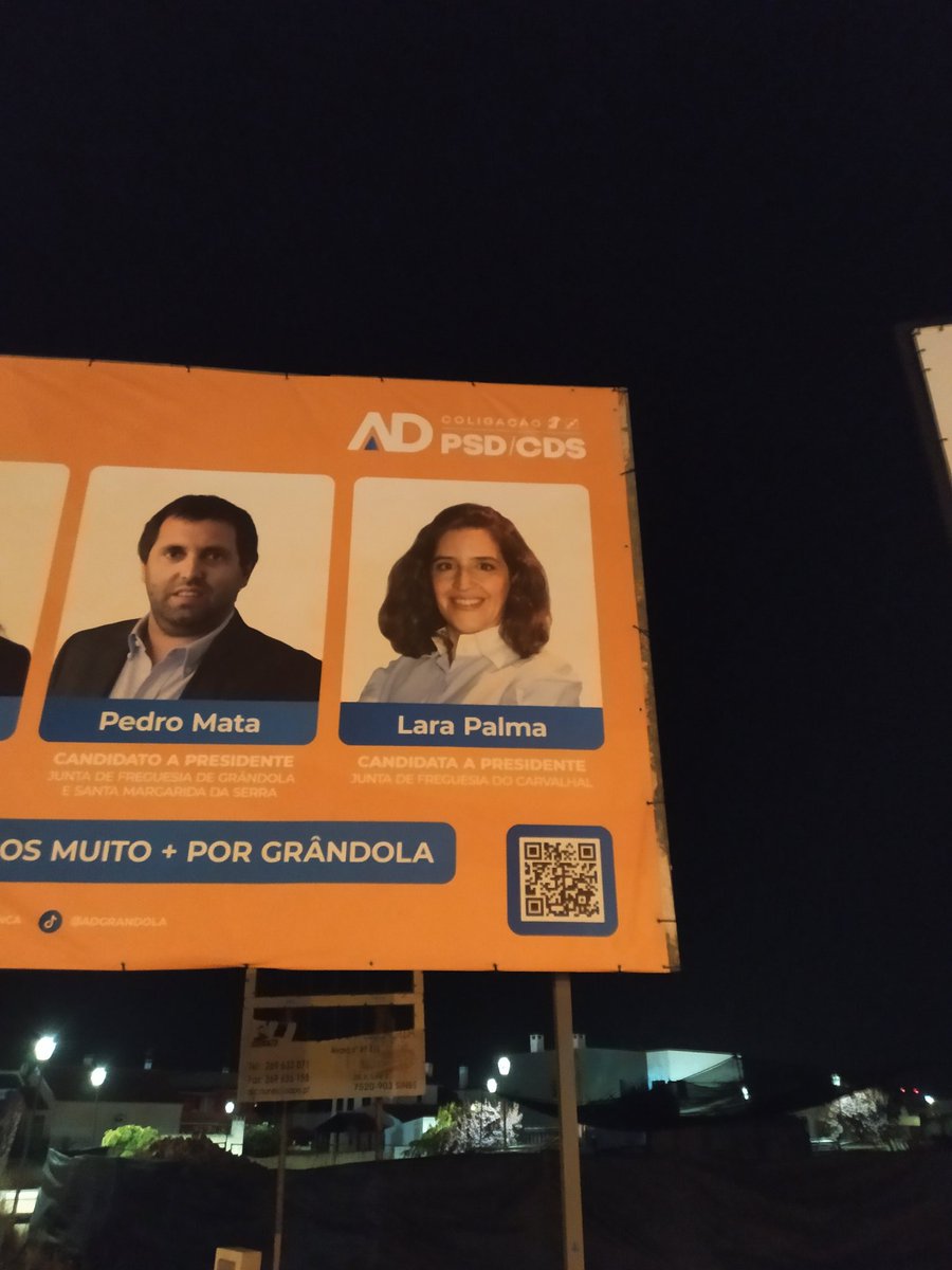 A vida secreta de Laura Palmer como candidata da AD nas autárquicas