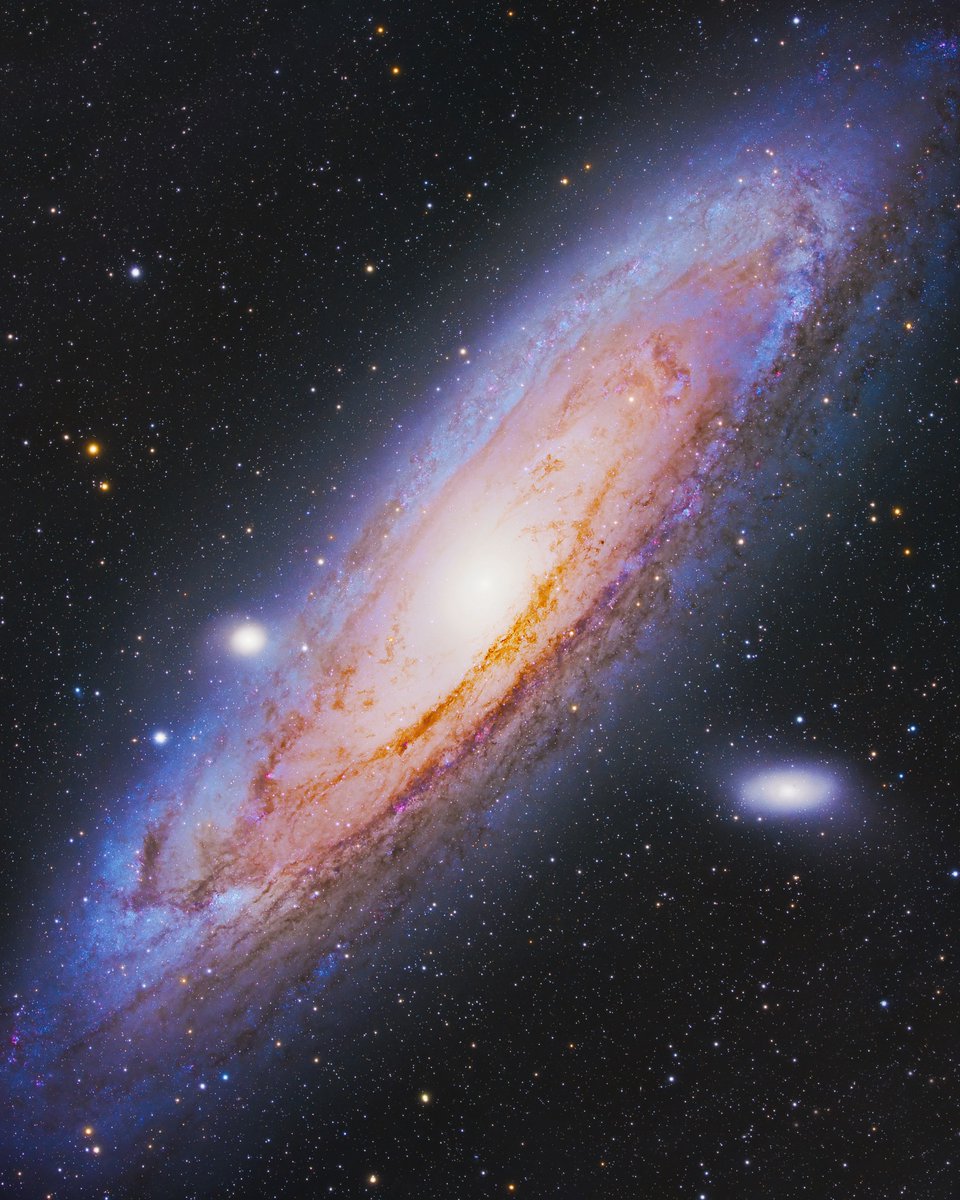 The Andromeda Galaxy 📸

This is how the Andromeda Galaxy looked 2.5 million years ago... I wonder what it looks like now?

I took this image from our campsite in the Summer of 2022. My telescope tracked the galaxy for 2 nights straight, and I combined all of the images together