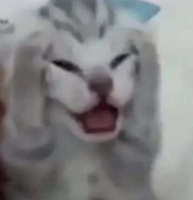 BruuZanskar's tweet image. When the haters say $SKITTEN is just another meme coin, but you know it's the real deal saving kittens and mooning hard. 

This vibe hits different pure chaos and gains all in one. 

@OfficialSkitten

@breadcrumbcash

  #SKITTEN #CryptoKittens