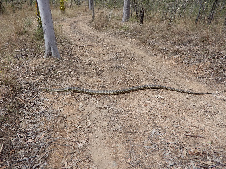 Manami.N tweet media