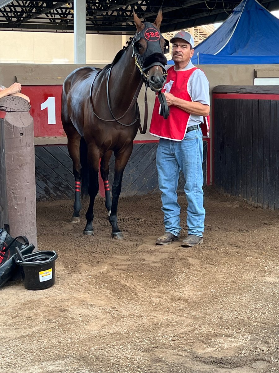 TIANMA (Distorted Humor-Home Rule by Empire Maker) is now stakes-placed after coming in third in the Pitre GMC #Albuquerque Distaff Stakes at 7 furlongs on the dirt for trainer Justin Evans and jockey Francisco Amparan. Looking forward to future races off this one!