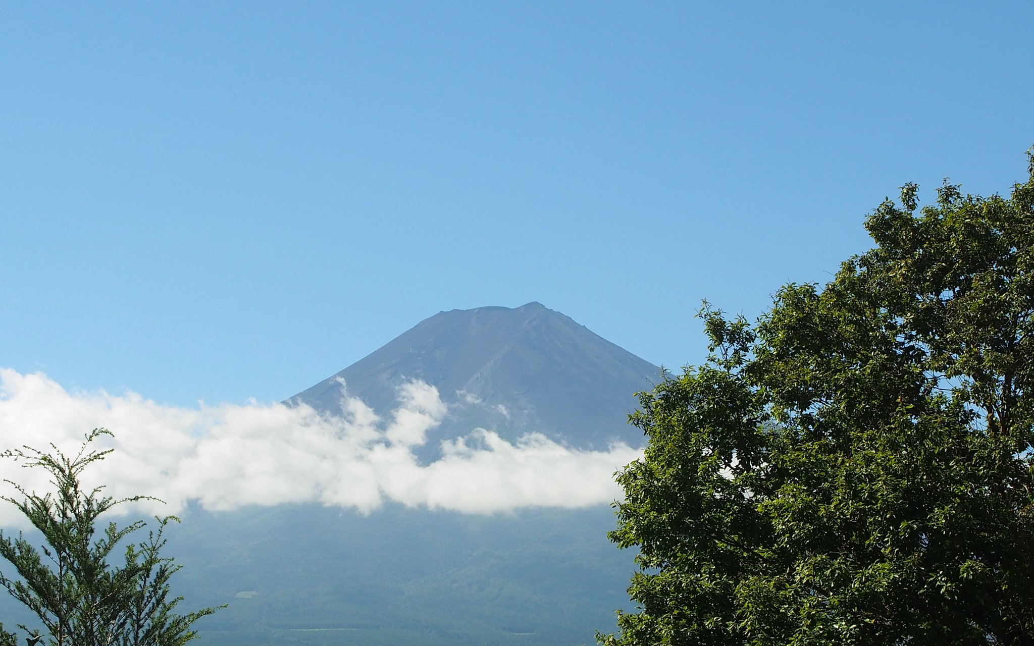 富士山15 やっこ on X: 