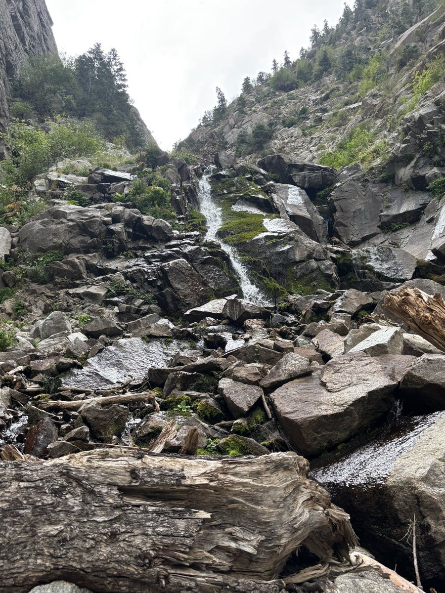 Matt Covington, MD tweet media