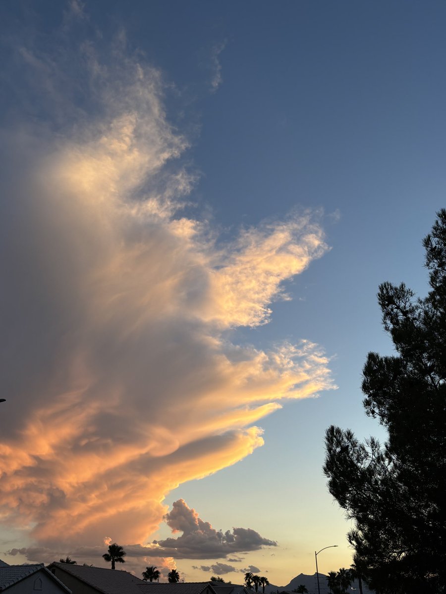 ᴄʜᴀᴏꜱ ◡̈ tweet media