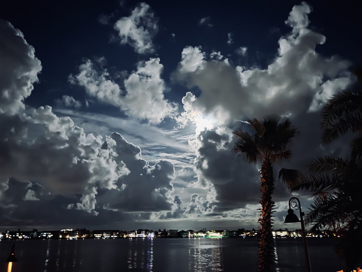 #FLwx #Florida <a href="/spann/">James Spann</a> <a href="/NWSTampaBay/">NWS Tampa Bay</a> #CornMoon 
Ya' can't beat a Florida night!! 🌝🌴