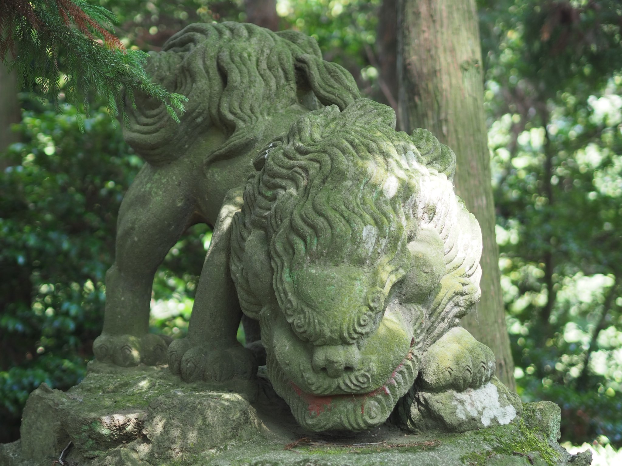 狛犬千万無量 on X: 