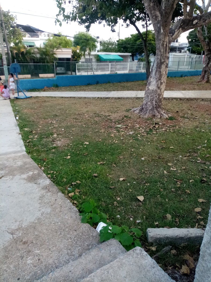 EvelinPlacidoAl's tweet image. Con ☀️🌡️, hay qué esperar, pero nadie nos quita la voluntad jugar 🏐
#NextLevelVoleibol
Y los #Añejos 🏀
#ClubAtala
#Cancha #MarlonLembert