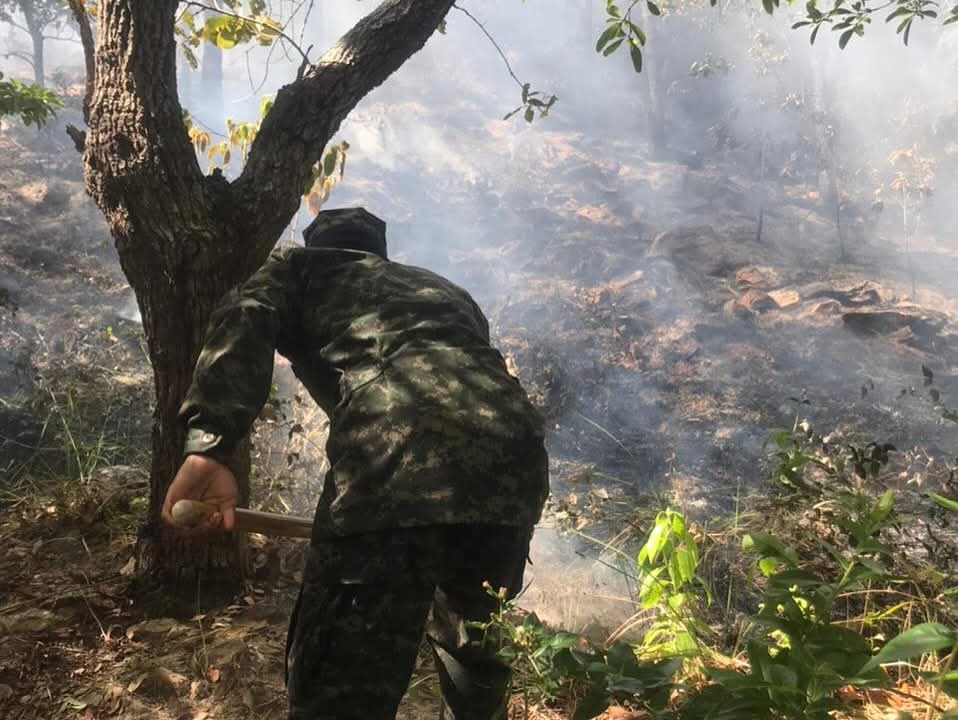 FFAAHN's tweet image. #ControlDeIncendio || Con un rápido accionar, las #FFAA a través de la Base Naval de Guanaja de la @FuerzaNavalHND, respondieron de manera inmediata a una alerta de incendio forestal registrada en la isla de Guanaja, departamento de Islas de la Bahía.

El siniestro, se originó en