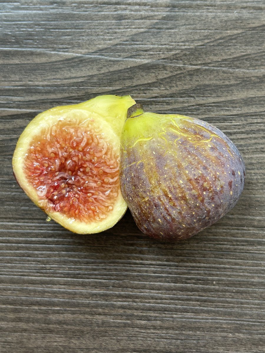 山岳 いちじく穂木 山岳 いちじく穂木 Yahoo!オークション -「イチジク 穂木」の落札相場