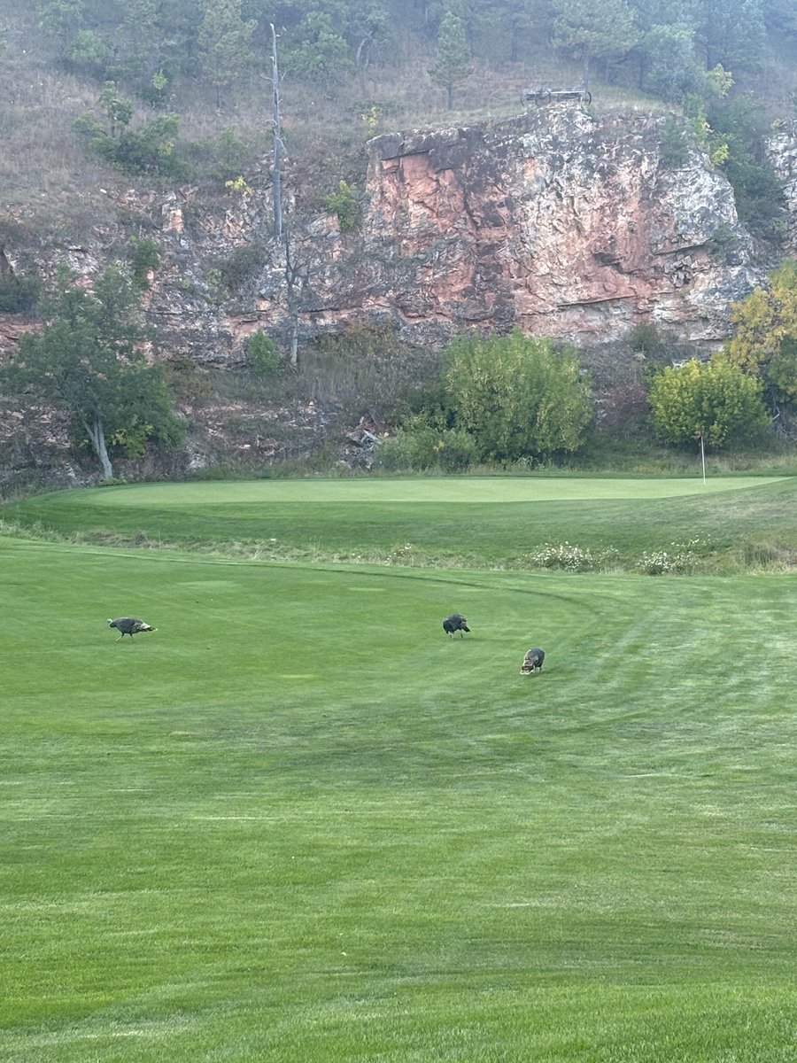 167 downhill, no wind