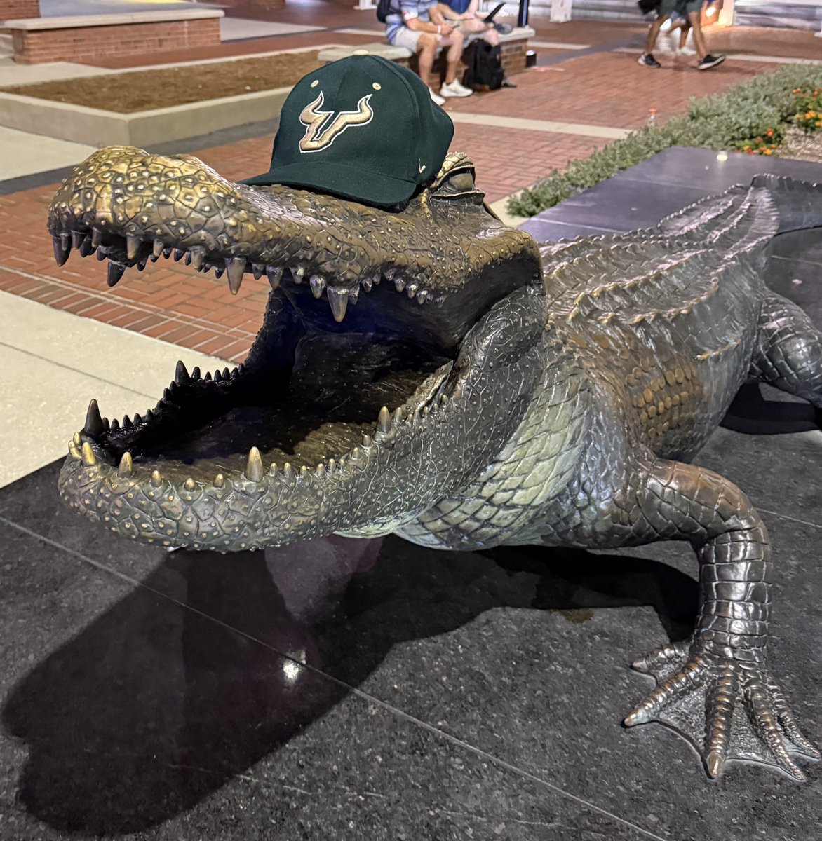 This is Bulls country