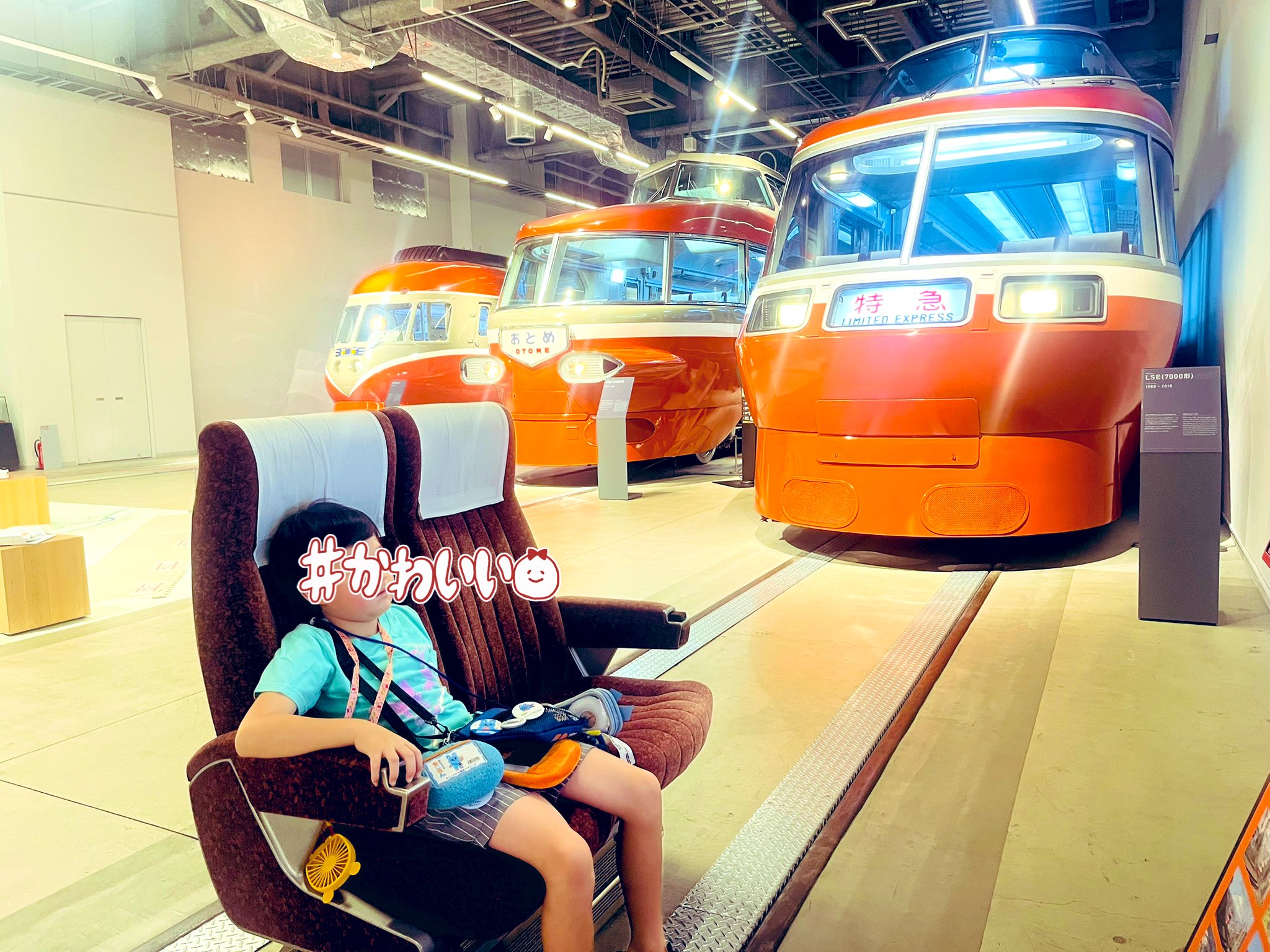 えびせんです♡プクラジ♡、ゴールデントパーズ、バイカラースモーキーetc. えびせんです♡プクラジ♡、ゴールデントパーズ、バイカラー