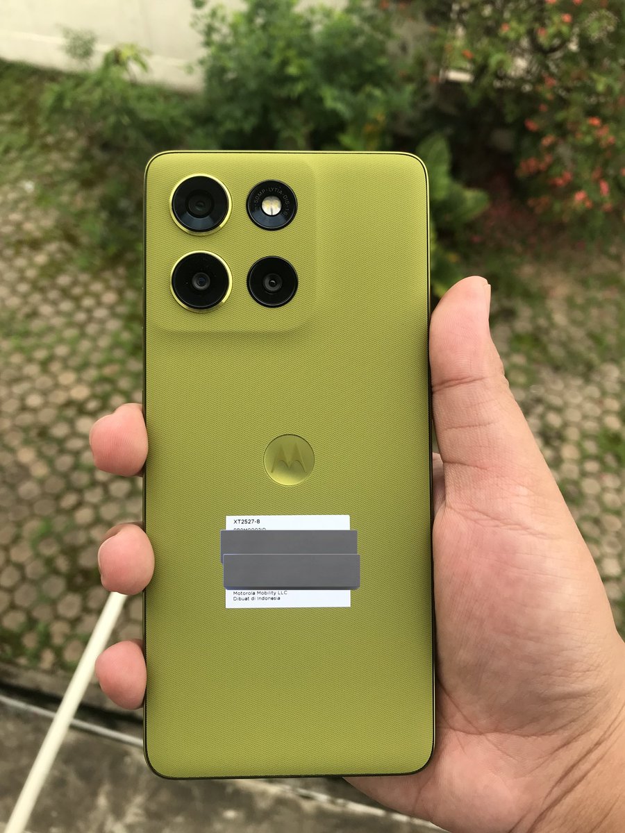 renate reinsve final girl tweet media