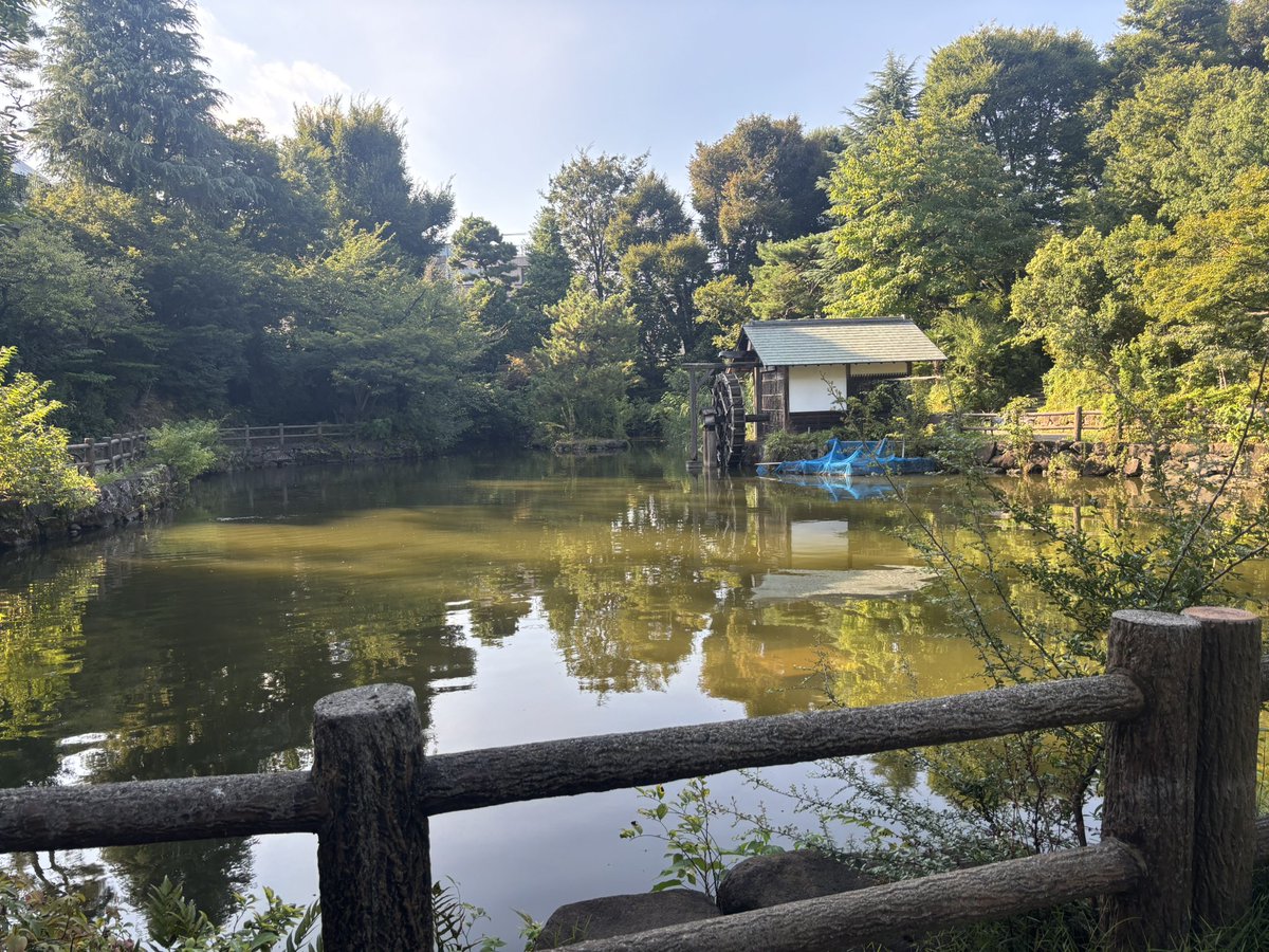 アップルパイ tweet media