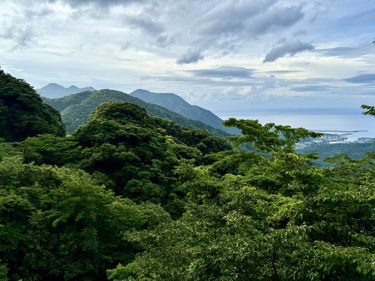 💎Unknown by most tourists, the Yakushima Island is a gem in south Japan. 

The island has been conquered by a very special nature. 

Cedar trees and moss forests so deep and dark that you sometimes can’t see the daylight. 

Monkeys and deers ruling the place with no predators