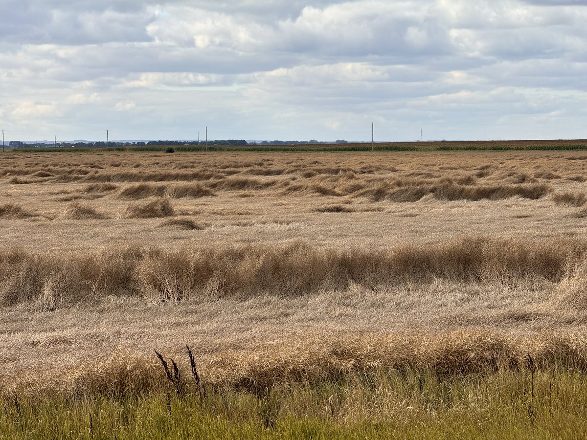 Harry Siemens tweet media