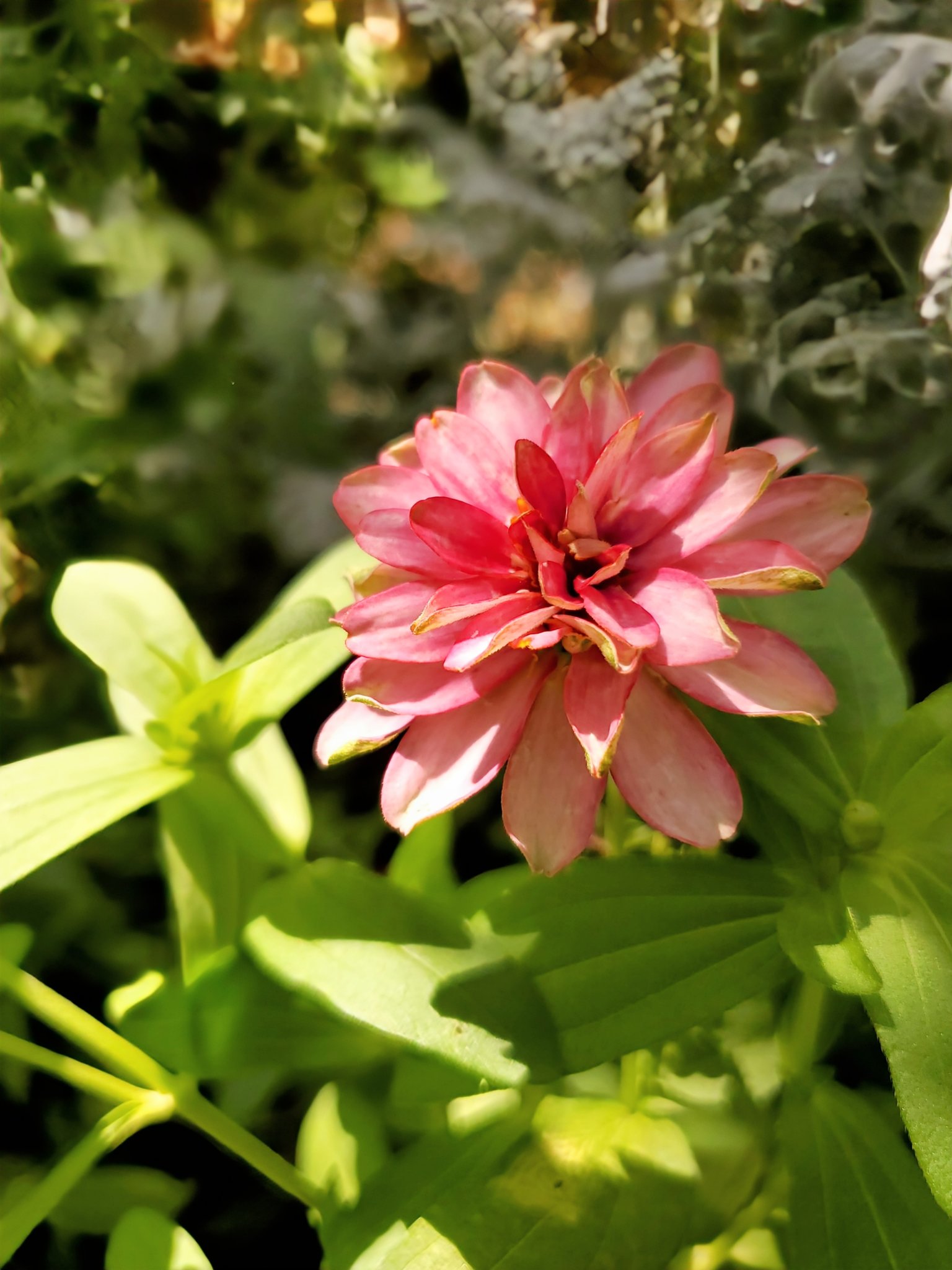 mayu*** (@mayu_r729) / X