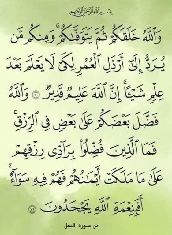 Hasseb (@hassebhh67) on Twitter photo 