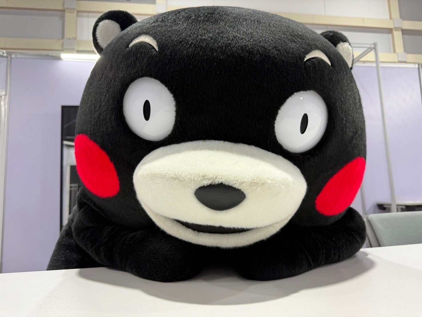 kuma@さん専用 【公式通販】