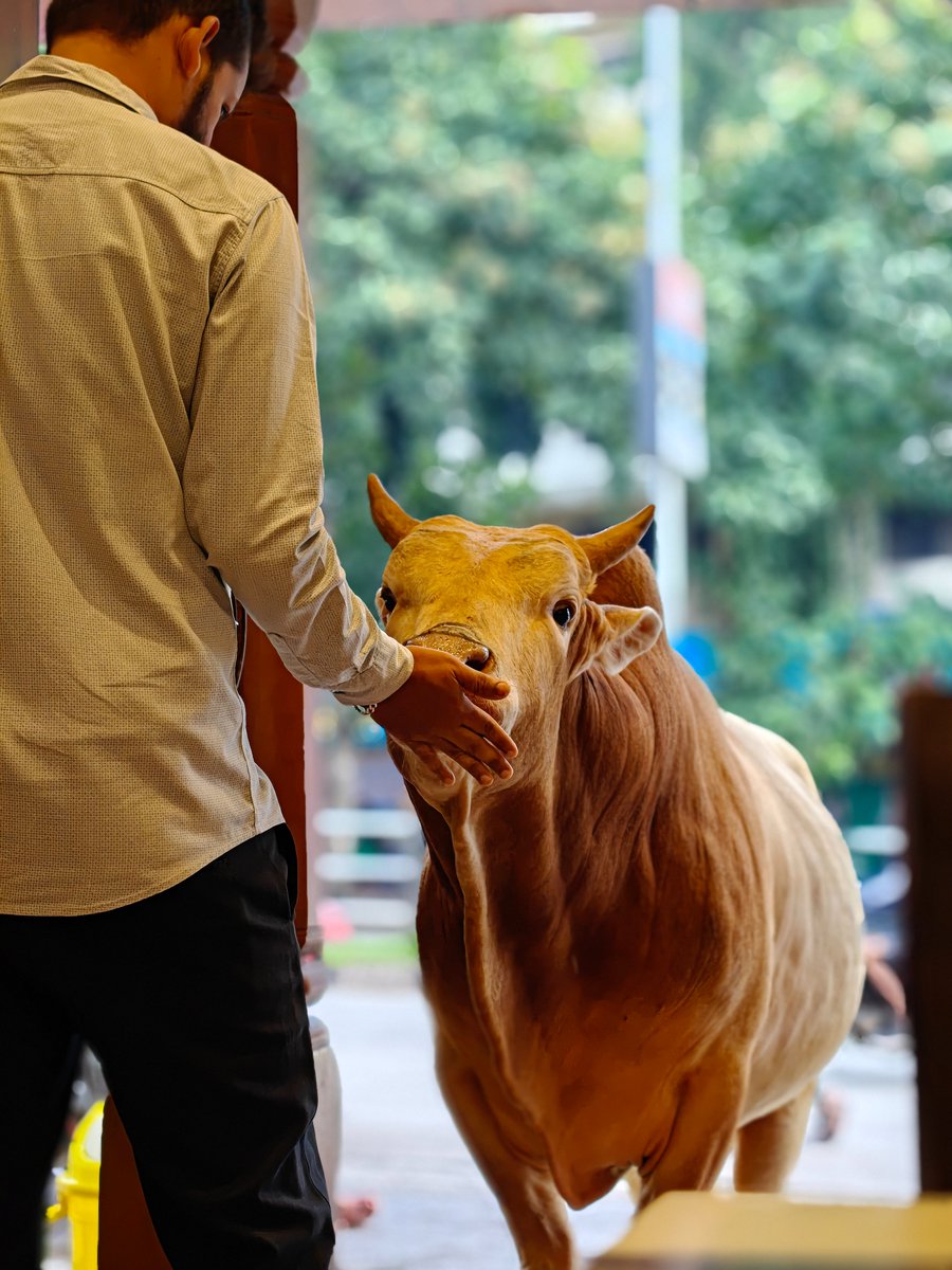 Random moments from shanti Sagar in the morning