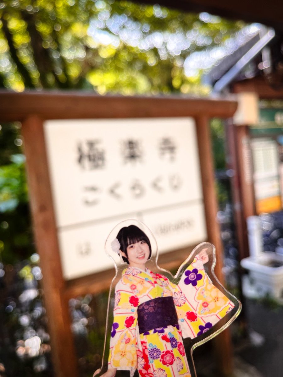 シャンシャン🐧 (@maccyapine) / X