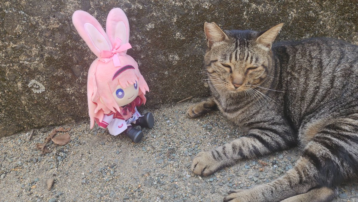 ぴぴ☾ページ ぴぴ (@pipipi9632) / X