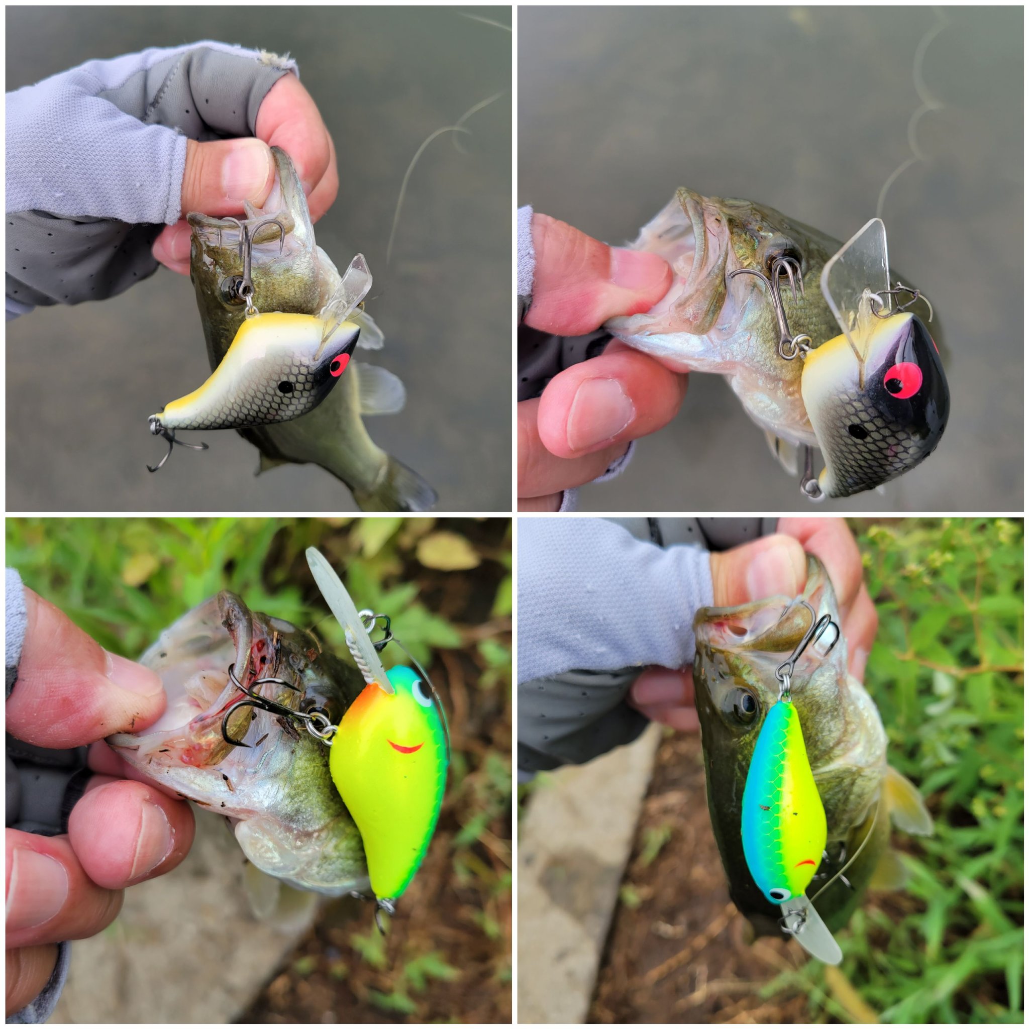 ルアー・フライ plotz lure 好評 plotz SHOP 白菜LURE | ルアー・フライ - ルアー・フライ