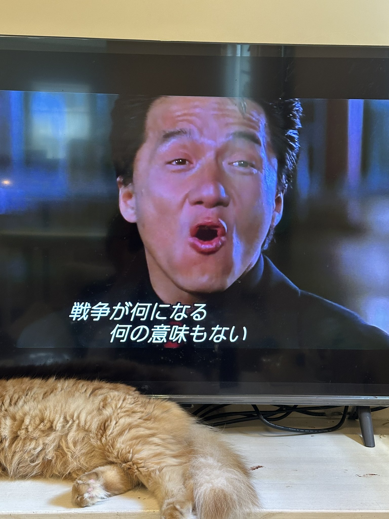 【貴重】ジャッキーチェン ダウンコート 中川桂子 on X: 