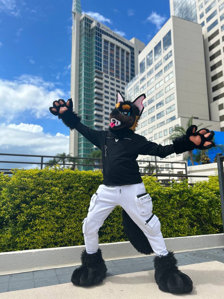 nightdragon0's tweet photo. Enjoyed the con & it's chill hangout resort vibes! Though things like reg & some event organization could've been better. The holiday weekend worked in my favor, but not sure if the long travel time/PTO commitment will make it easy to come back.
#Megaplex2025 #MP2025 #fursuit https://t.co/RbvYuFVJQT