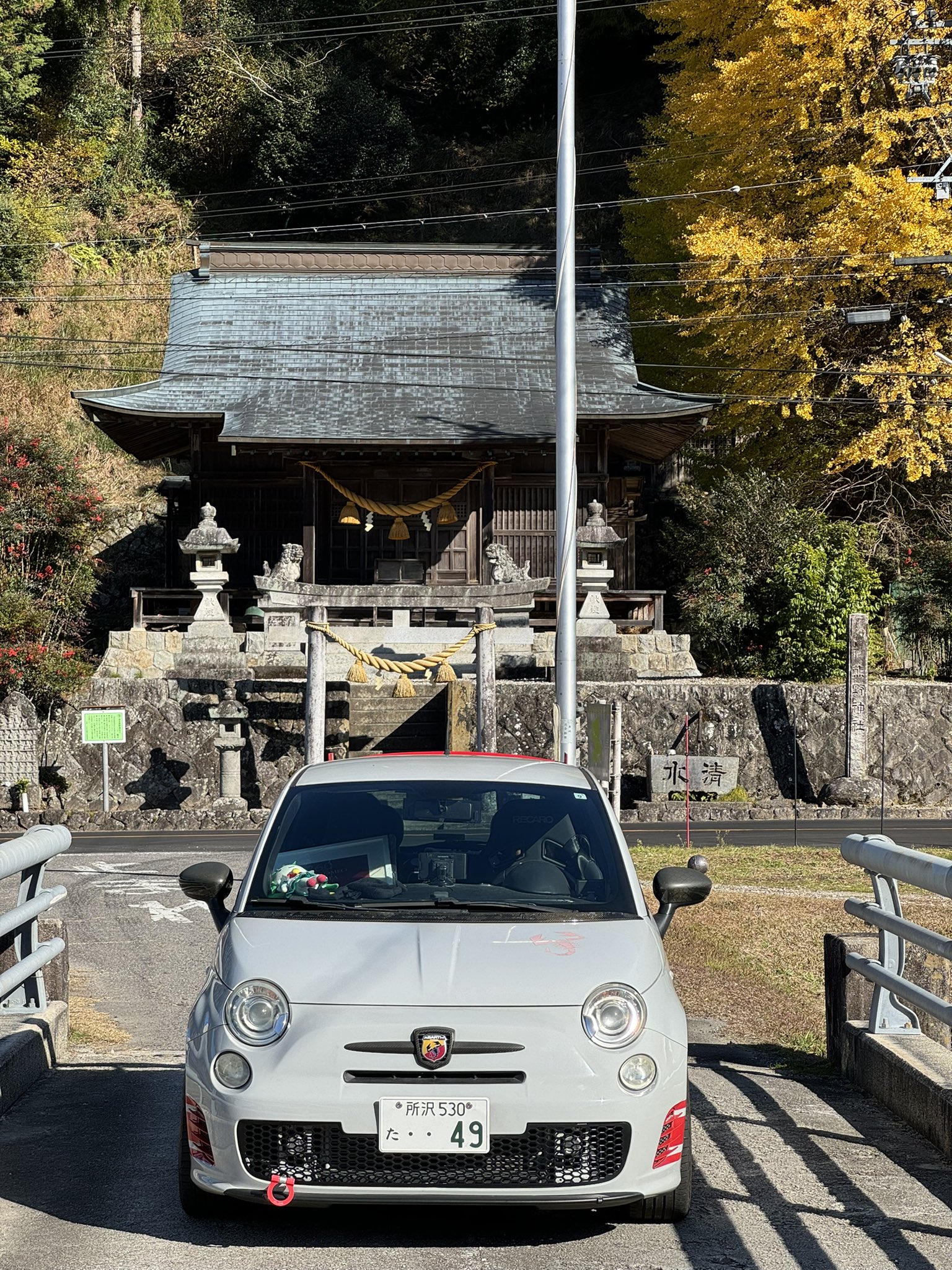Jejeje様 Oh… Dear, oh deer, more deer ψ(｀∇´)ψ #nara #deer