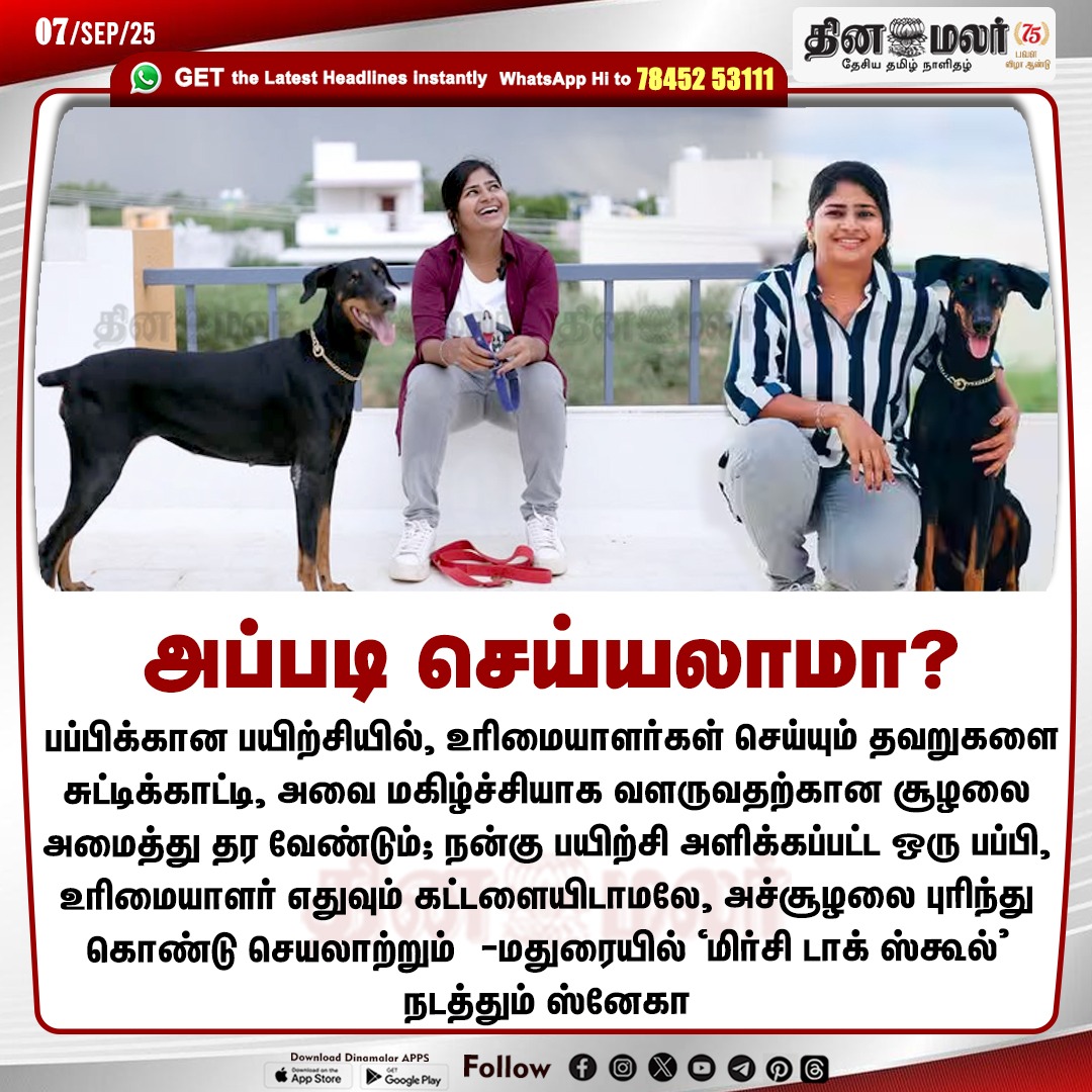 dinamalarweb's tweet photo. அப்படி செய்யலாமா?
#chellame | #Dogs | #Pets | #Puppy | #Dogschool | # #mirchidogschool
https://t.co/hF4iDazQRz https://t.co/6K0xwIoYPb