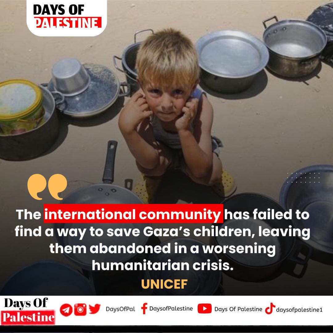 *📢📢 UNICEF:*

▪️Thousands of children in Gaza are suffering from severe malnutrition.

▪️The international community has failed to find a way to save Gaza’s children, leaving them abandoned in a worsening humanitarian crisis.