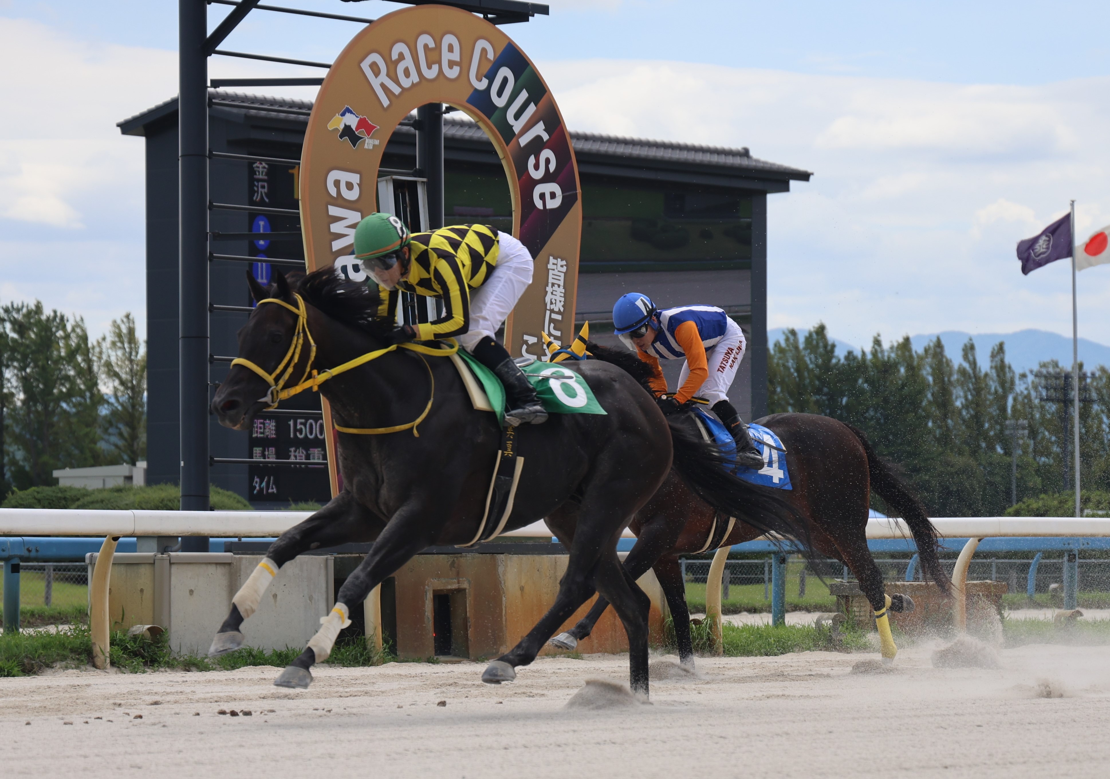 2178❣️ 瑪瑙　馬　唐馬　戦闘馬 2178❣️ 瑪瑙 馬 唐馬 戦闘馬 Winning Horse Club