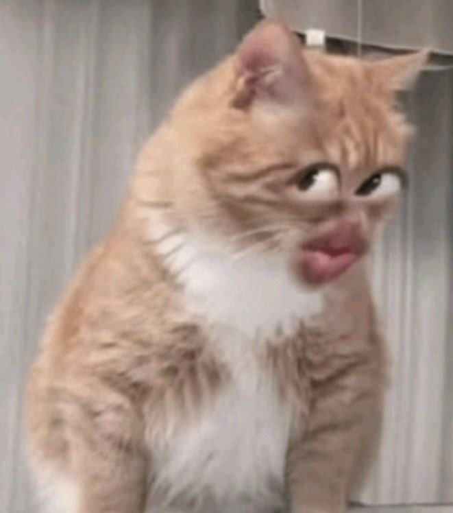 has wjsn comeback yet? tweet media