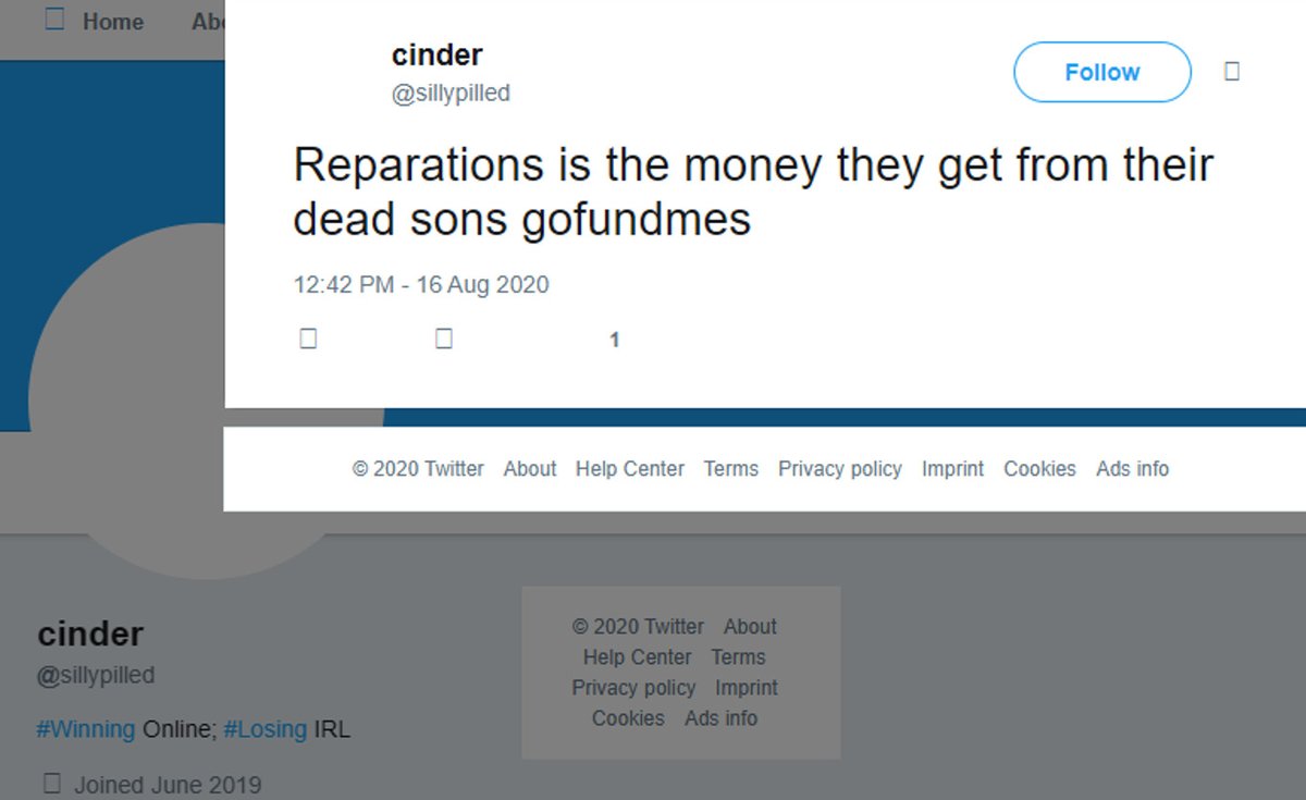 Snoojak, who tried to hide her past, was previously known as Cinder and used handles deathbycop69, h8cinder, and sillypilled. 
She was active in the 'irony community,' a right-wing incel scene in the early 2020s known for racism, spamming gore, and harassing girls and minors